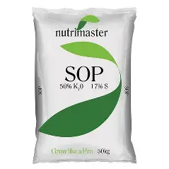 SOP